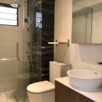 toilet vanity cabinet with shower area