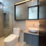 landed home toilet done by singapore direct carpentry