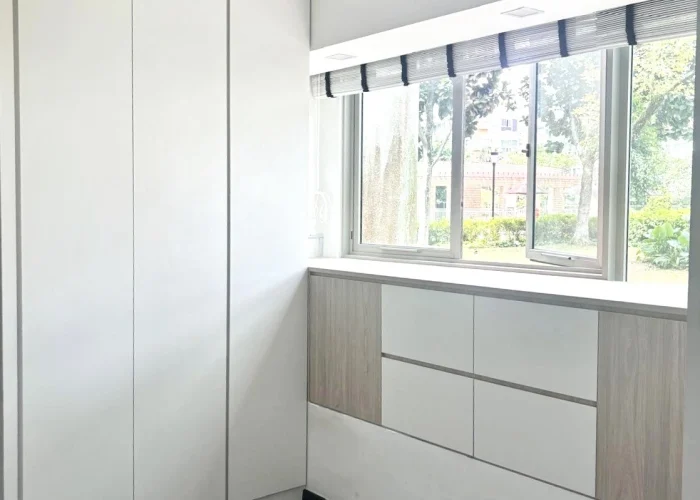 cabinet in matt finishing
